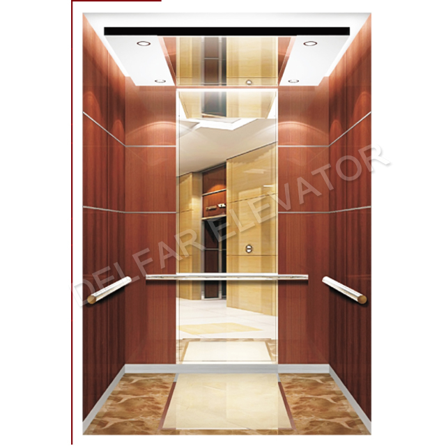 Индивидуальный домашний лифт VVVF для виллы