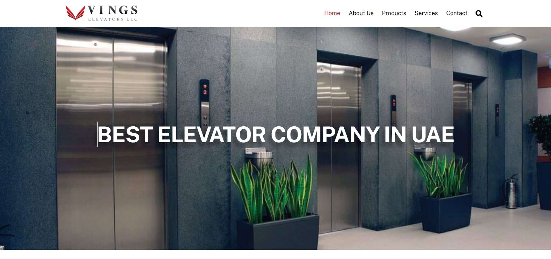 Лифты Вингс