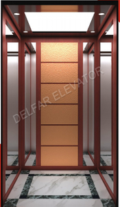 Делфар декорированный домашний лифт