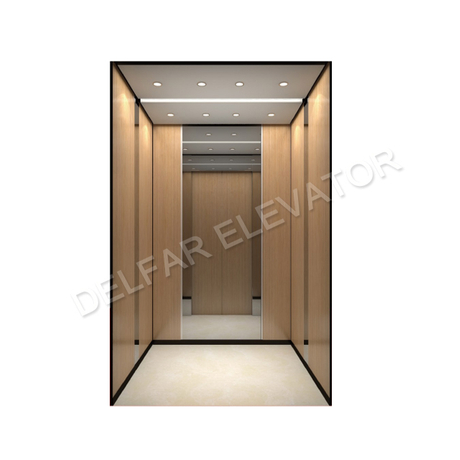 Индивидуальный пассажирский лифт Delfar D18981