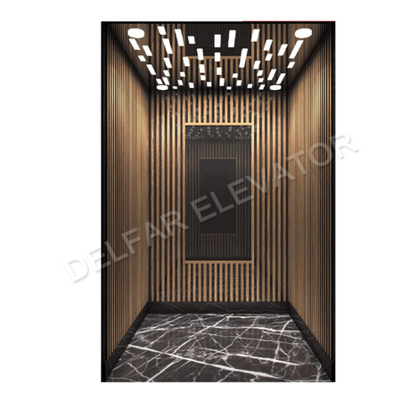 Индивидуальный домашний лифт Delfar D17958